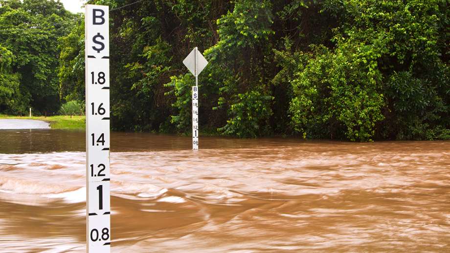 Brown flooding waters with green trees in the back.