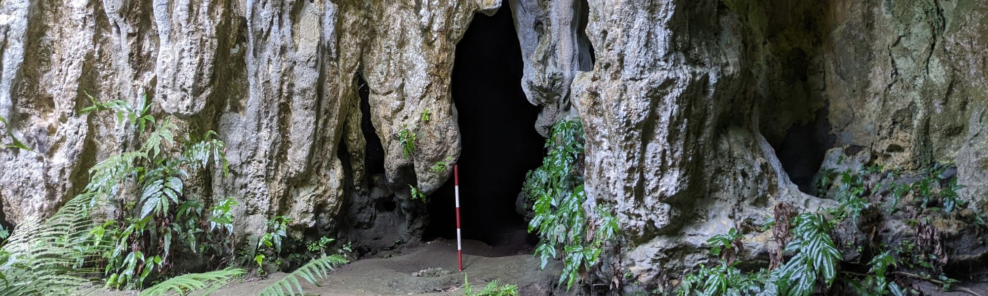 A cave