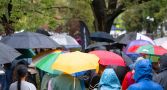 A crowd of people each holding different coloured umbrellas. None of their faces are visible.