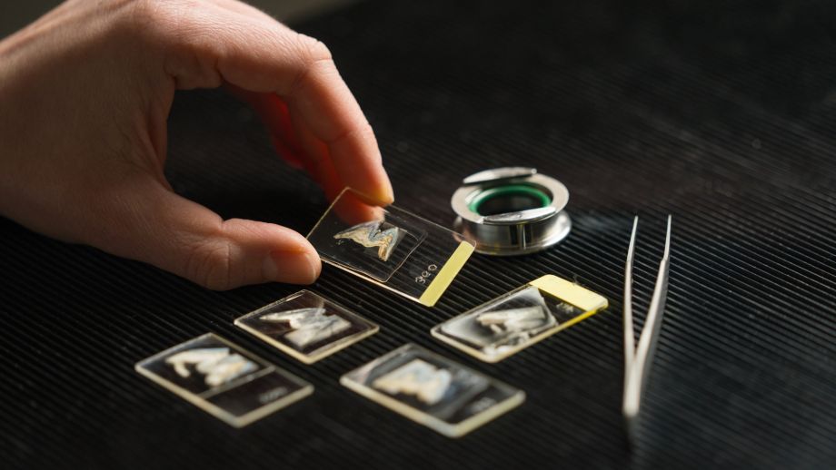 news thumbnail image